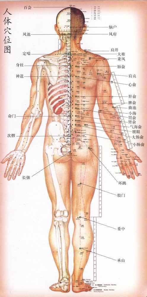 點擊將在新窗口查看全圖